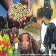 Propriedade Rural no Brasil e a Insegurança Jurídica