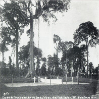 Porto Velho  Centenário da Construção da Primeira Quadra de Tênis