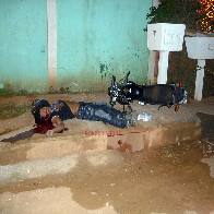 Jovem perde controle de moto e morre ao bater em muro  imagem forte