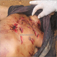 Homem é morto com mais de 20 facadas após discussão em bar em Porto Velho - Fotos