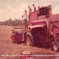 Agropecuária  É a hora e a vez de Rondônia