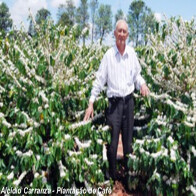 Código Florestal  De Chico Mendes a Sérgio Carvalho