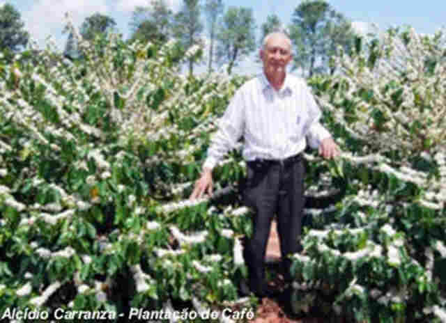 Código Florestal  De Chico Mendes a Sérgio Carvalho