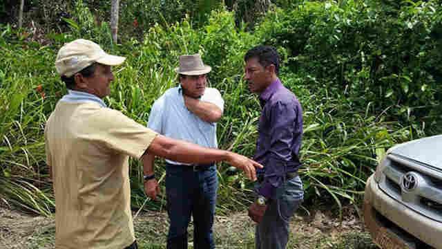 Comissão Especial da Câmara apresenta relatório nesta quarta sobre denúncias