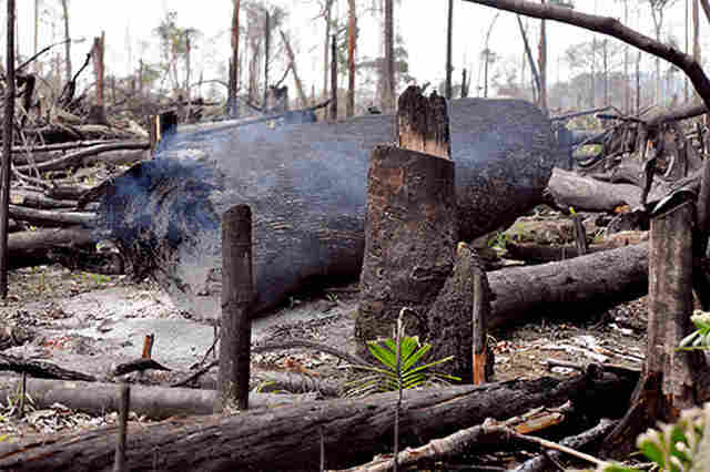 SEDAM REALIZA TRABALHO INTEGRADO PARA CONTER QUEIMADAS EM RONDÔNIA