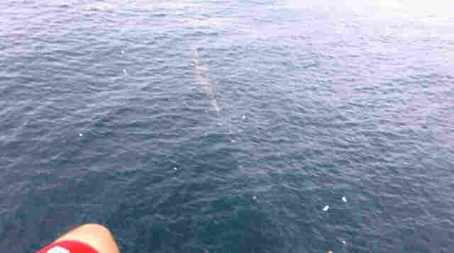 AVIÃO QUE SEGUIA PARA JI-PARANÁ CAI EM FLORIANÓPOLIS