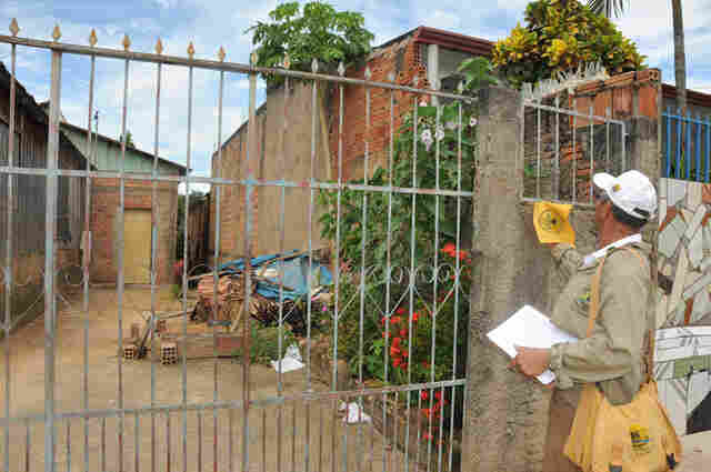 Alerta: 62% dos casos de foco de dengue em Porto Velho são em residências