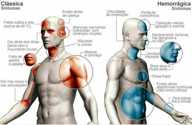 OITO MUNICÍPIOS ESTÃO EM ESTADO DE ALERTA PARA DENGUE; RONDÔNIA TEM QUASE 1800 CASOS
