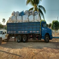 Mais de 22 mil embalagens de agrotóxicos foram devolvidas