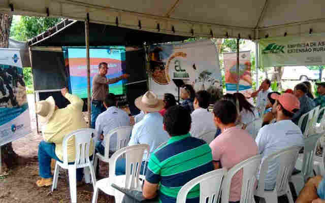 Dia Especial mostra técnicas de manejo de pastagem irrigada em Vilhena