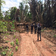 Agricultor de Nova União é espancado por bando que tenta invadir assentamento