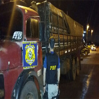 PRF apreende quase 30m³ de madeira ilegal e registra sete acidentes em 72 horas