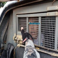 Fotos: Polícia prende um após assalto e fuga com tiroteio em Porto Velho