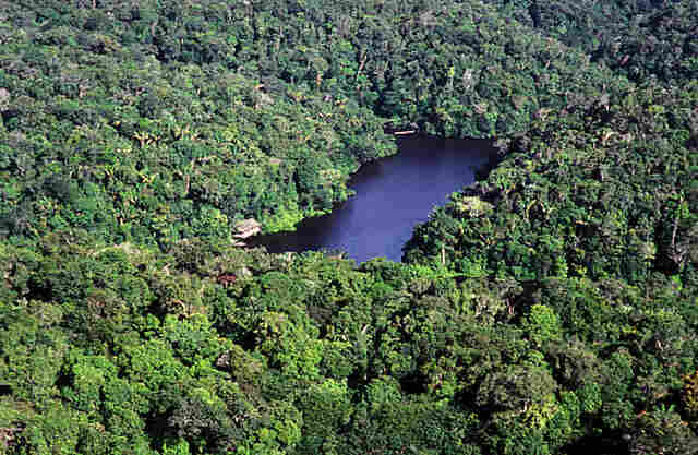 Criação de unidade de conservação será discutida em audiência pública no distrito de Nova Mutum Paraná