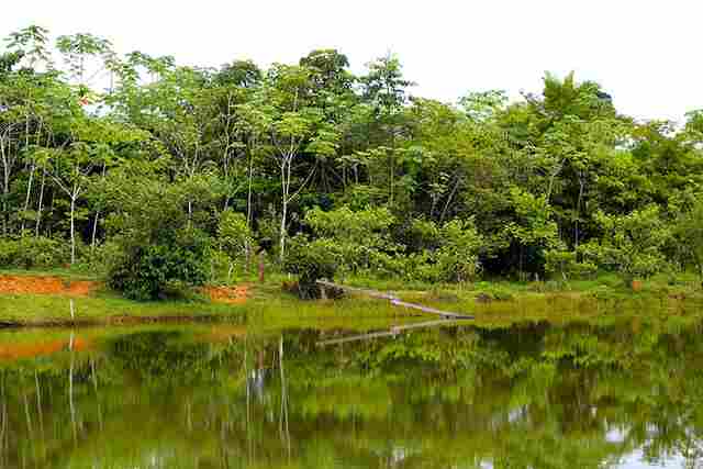 Projeto orienta para recuperação de áreas com rentabilidade