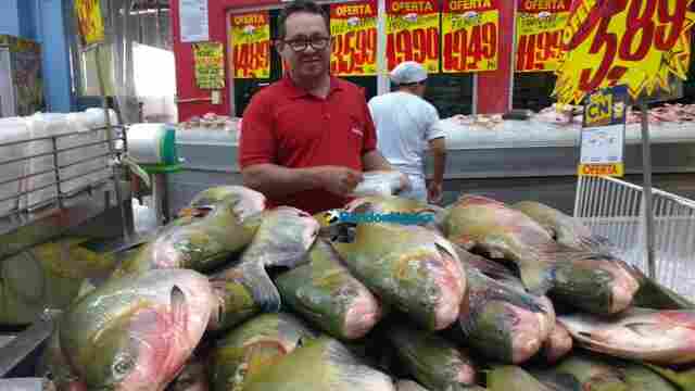 Peixarias e supermercados esperam aumento de 100% na venda de pescado