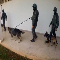Vídeo: Devassa das Forças Armadas em presídios apreende centenas de armas artesanais
