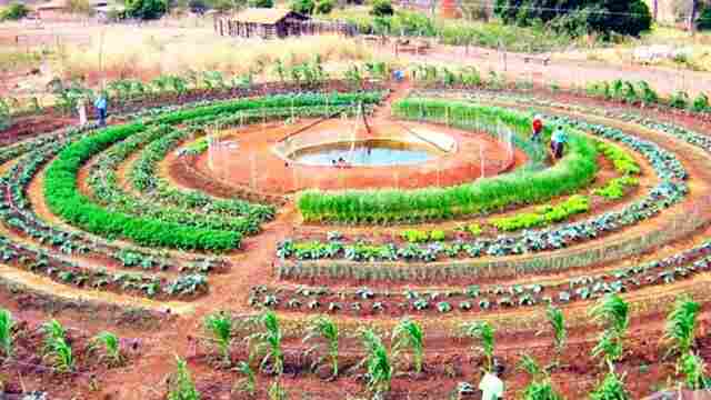 Rondônia Rural Show: Ji-Paraná se transforma no Centro Tecnológico do Agronegócio