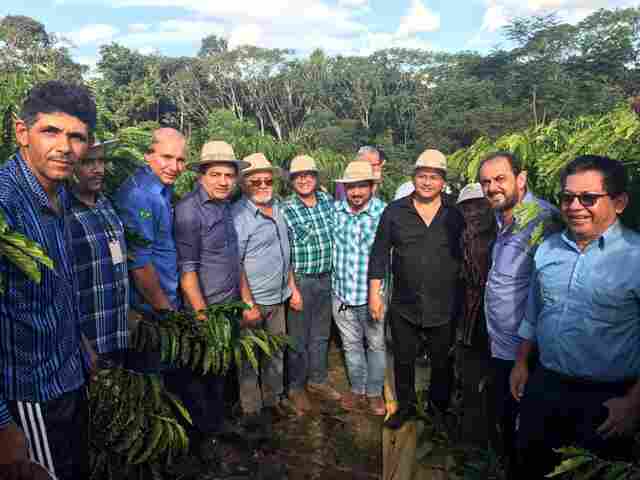 Laerte e Walter recepcionam comitiva do Amapá de olho no café clonal