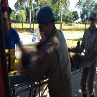 Agora: Homem é esfaqueado no pescoço