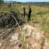 Mulher é encontrada morta em área rural