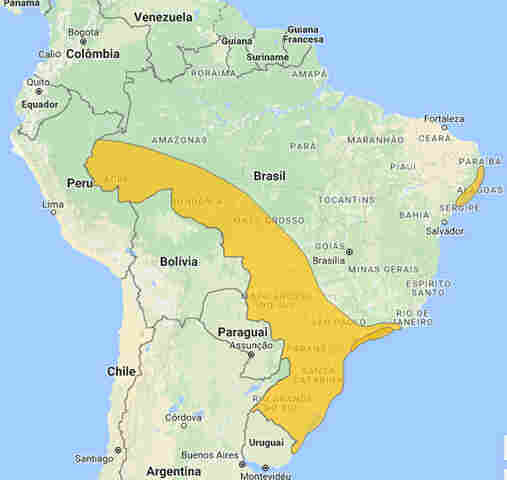 Temperatura ainda estará amena nesta quarta-feira em Rondônia, garante Sipam