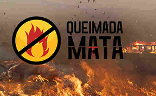 QUEIMADA MATA!