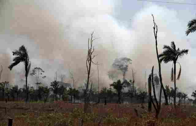 Corpo de Bombeiros registra cerca de 15 denúncias diárias sobre incêndios em Porto Velho