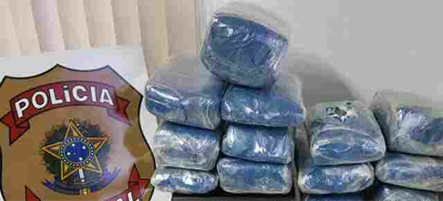 PF apreende 30 quilos de maconha skunk no Aeroporto da Capital