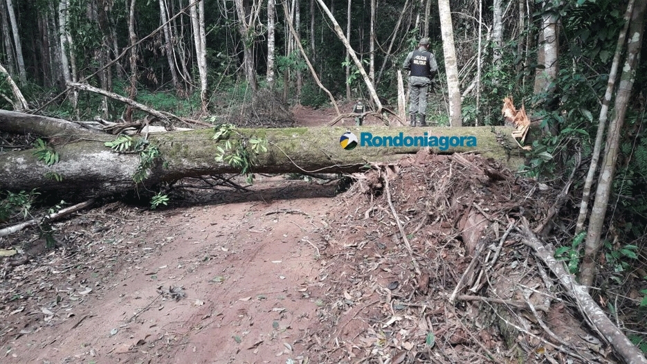 Batalhões da PM sofrem emboscada e são recebidos a tiros por invasores do Parque Estadual Guajará Mirim