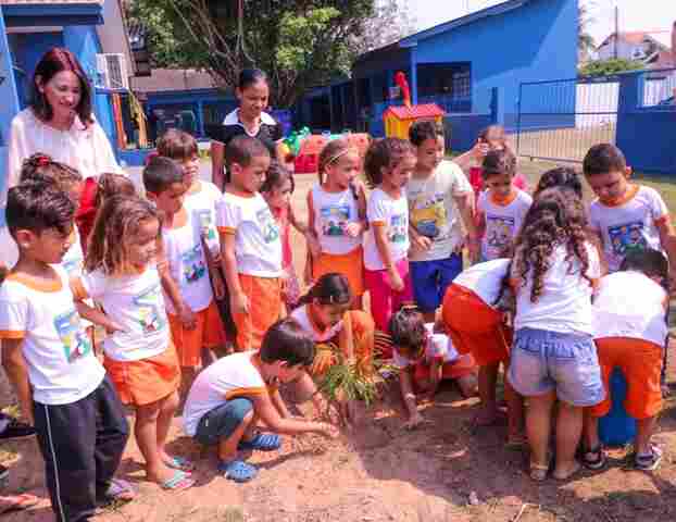 Programa de arborização convida crianças a plantarem árvores nas escolas