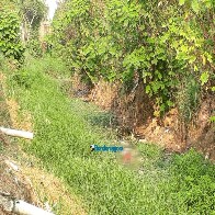 Moradores da Zona Leste encontram corpo de homem em vala