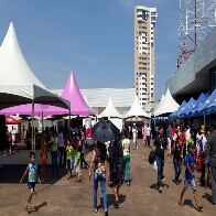 Dia do Bem garante atendimentos gratuitos a milhares de pessoas; fotos
