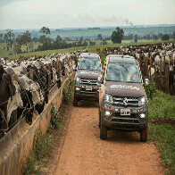 Rally da Pecuária 2017 passa pelas regiões Norte e Centro-Oeste