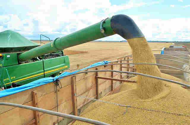 O agronegócio sustenta a economia de Rondônia