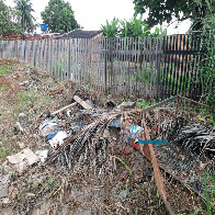Prefeitura pede que moradores de bairros com maior infestação do Aedes mantenham quintais limpos