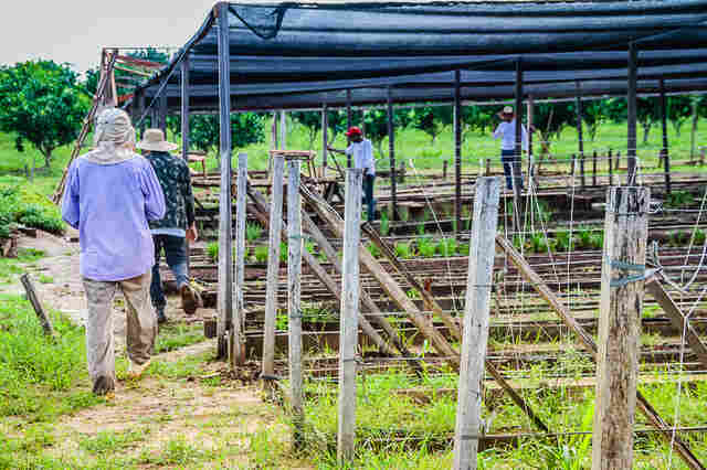 Quase 200 apenados de Rondônia são aprovados no Enem em 2017, informa Sejus