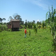 Defesa Civil vistoria casas atingidas pela cheia do Madeira