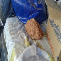 Fotos: Caminhoneiro morto com pedrada levava madeira para o Mato Grosso