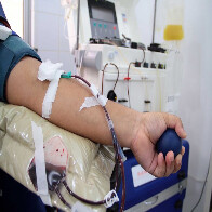 Fhemeron alerta que doação de sangue deve ser feita antes da vacinação contra o sarampo