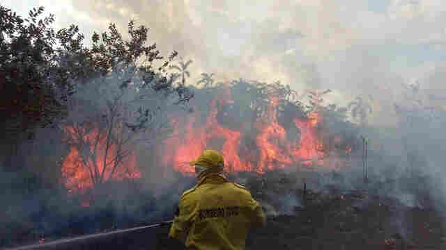 Porto Velho é o município brasileiro com maior número de queimadas nos últimos cinco meses