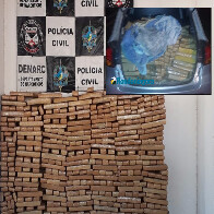 Denarc apreende quase 900 quilos de maconha com seis traficantes em Rondônia