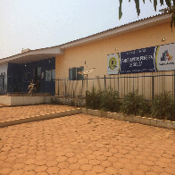 Trabalhador morre durante derrubada de árvores em União Bandeirantes