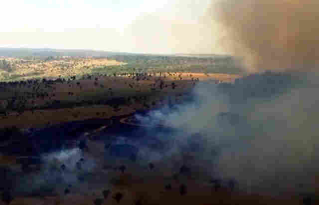 Vídeo: Incêndio já destruiu 2 mil hectares de reserva ambiental em Rondônia; Fogo continua