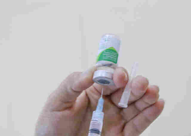 Mais de 20 mil animais já foram vacinados contra a raiva em Ji-Paraná