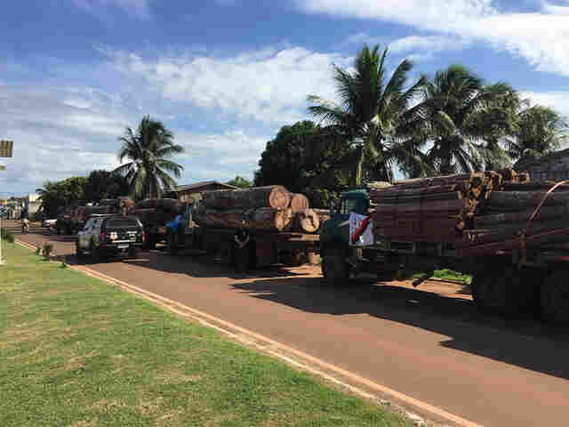 Polícia Civil e MP deflagram operação de combate ao desmatamento ilegal