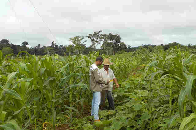 Projeto de desenvolvimento da agricultura familiar já cadastrou mais de 600 propriedades em Rondônia