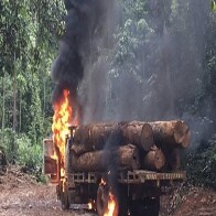 Governo não vai mais queimar maquinário apreendido em unidades de conservação e destinará tudo ao DER
