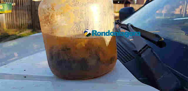 Feto de cinco meses é encontrado em mata próxima ao Orgulho do Madeira