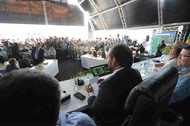 Assembleia aprova projeto proibindo contratação de condenados pela Lei Maria da Penha